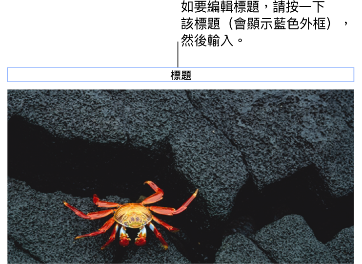 標題説明,「標題」在相片下方顯示,標題欄位周圍顯示藍色外框代表其已被選取。
