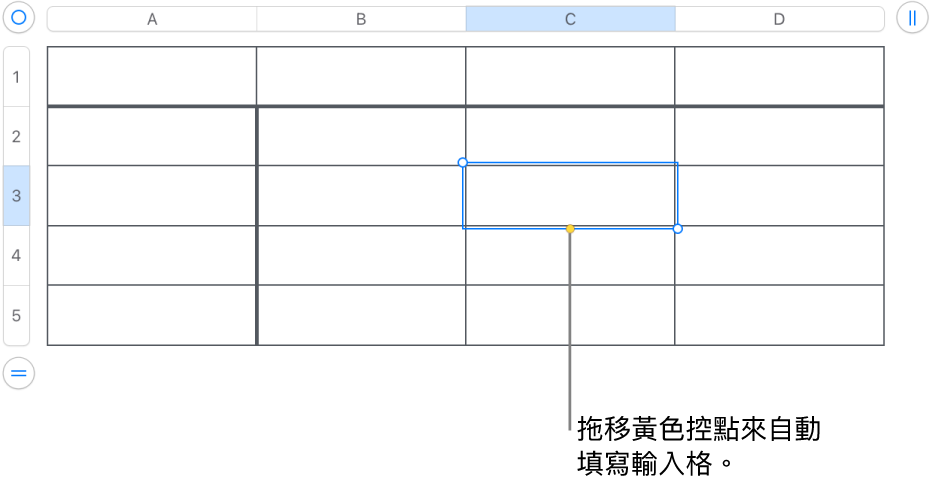 選取的輸入格帶有黃色控點,你可以拖移來自動填滿輸入格。