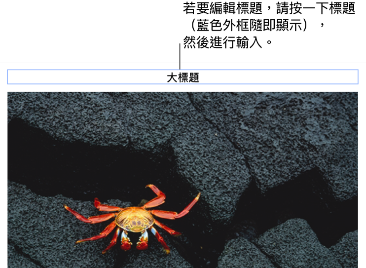 暫存區標題,「標題」顯示在照片下方,藍色外框環繞標題欄位顯示已選取。