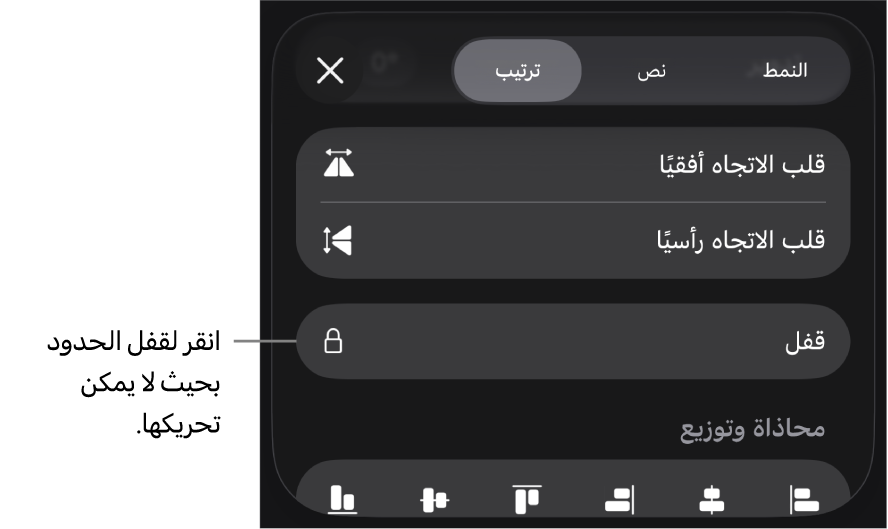 عناصر التحكم في الترتيب في قائمة التنسيق مع وضع وسيلة شرح على زر القفل.