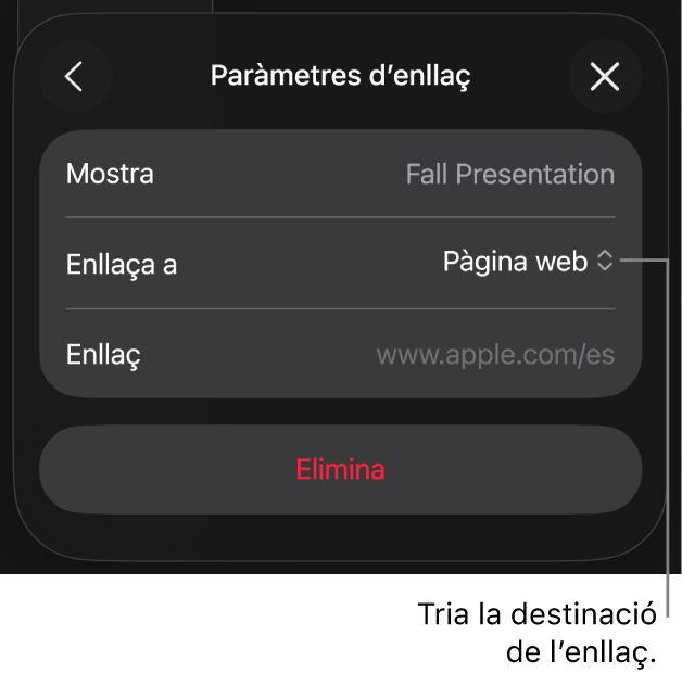 Controls “Paràmetres d’enllaç” amb l’opció “Pàgina web” seleccionada i el botó “Elimina” situat a la part inferior.
