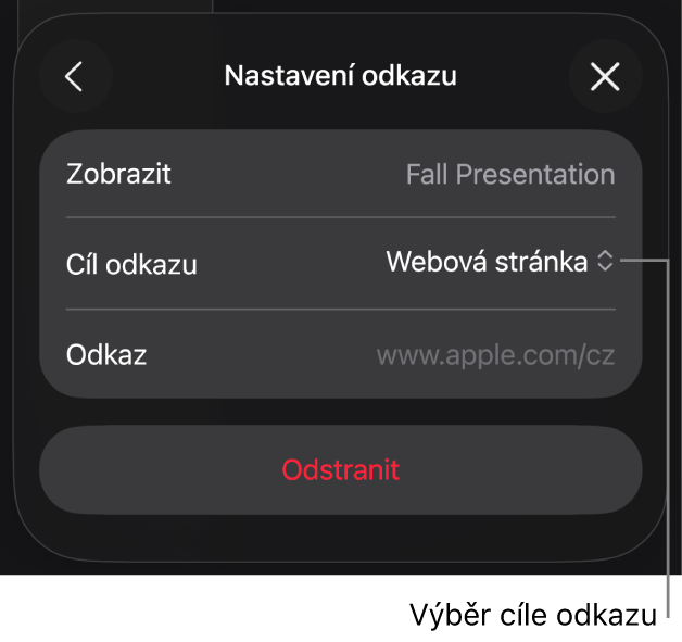 Ovládací prvky Nastavení odkazu s vybranou volbou Webová stránka a tlačítkem Odstranit v dolní části