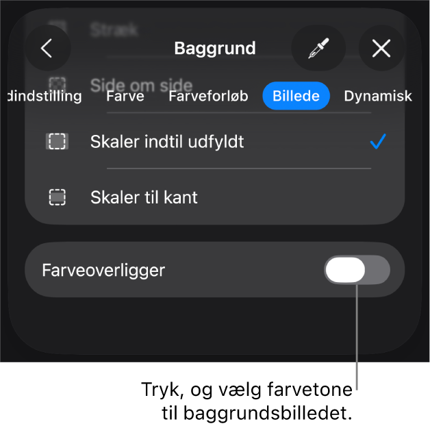 Betjeningsmulighederne til baggrund med et billede indstillet som lysbilledbaggrund og betjeningsmulighederne til Farveoverligger nederst.
