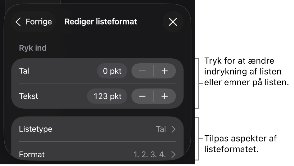 Menuen Rediger listeformat med betjeningsmuligheder til redigering af listens type og udseende.