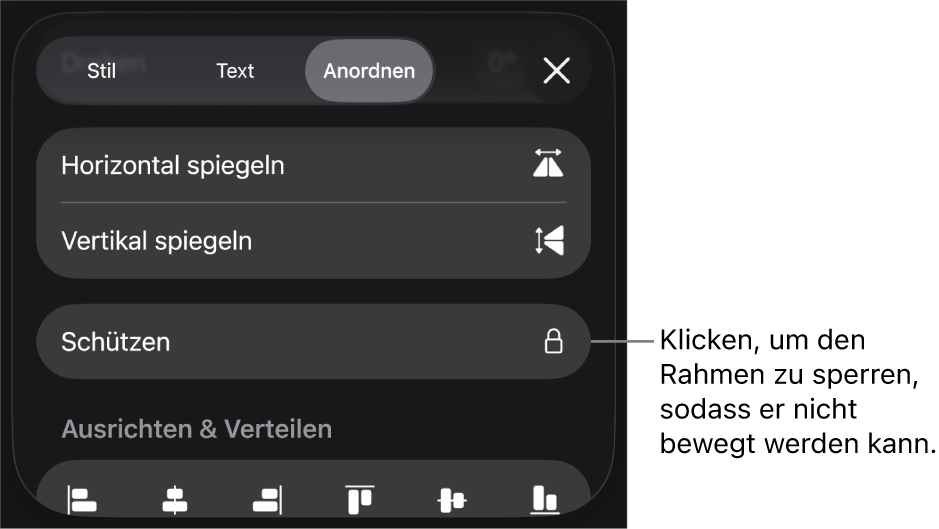 Die Steuerelemente „Anordnen“ im Menü „Format“ und die Taste „Schützen“ ist markiert