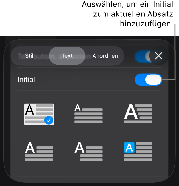 Die Steuerelemente „Initial“ im Menü „Text“
