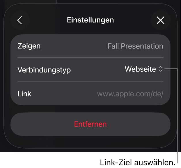 Die Steuerelemente der Linkeinstellungen mit ausgewählter Webseite und der Taste „Entfernen“ unten.