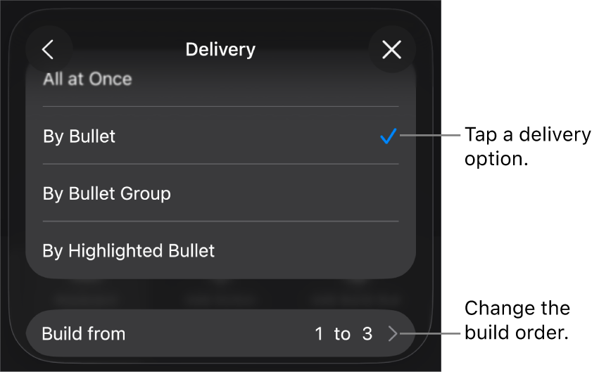 Delivery options in the Build In pane.