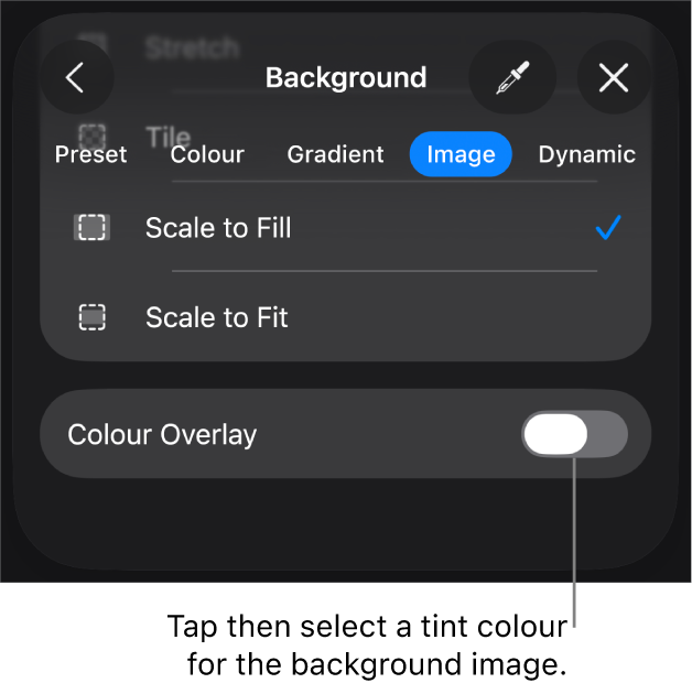 The Background controls with an image set as the slide background and the Colour Overlay control at the bottom.