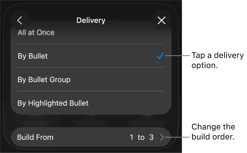Delivery options in the Build In pane.