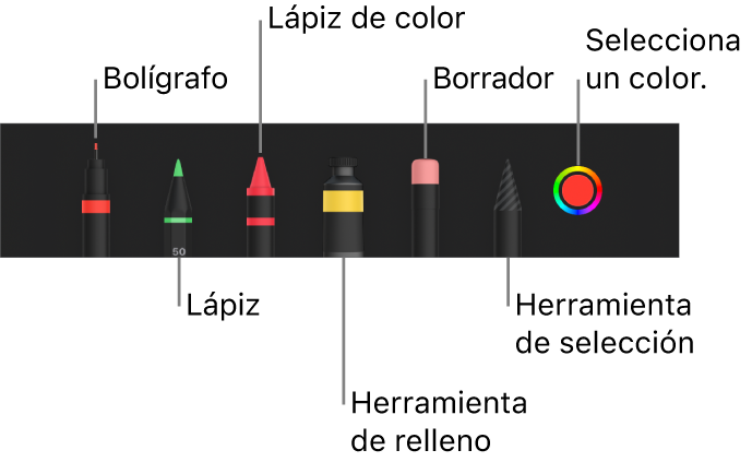 La barra de herramientas de dibujo con un bolígrafo, lápiz, lápiz de color, relleno, borrador, herramienta de selección y paleta de colores, que muestra el color actual.