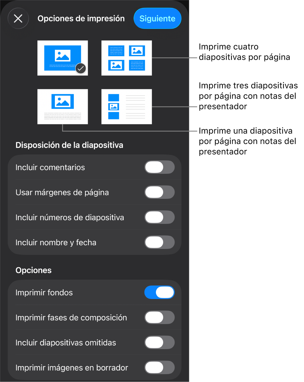 Opciones de disposición de impresión.