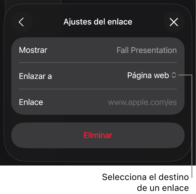 Controles de “Ajustes de enlace” con la opción “Página web” seleccionada y el botón Eliminar en la parte inferior.