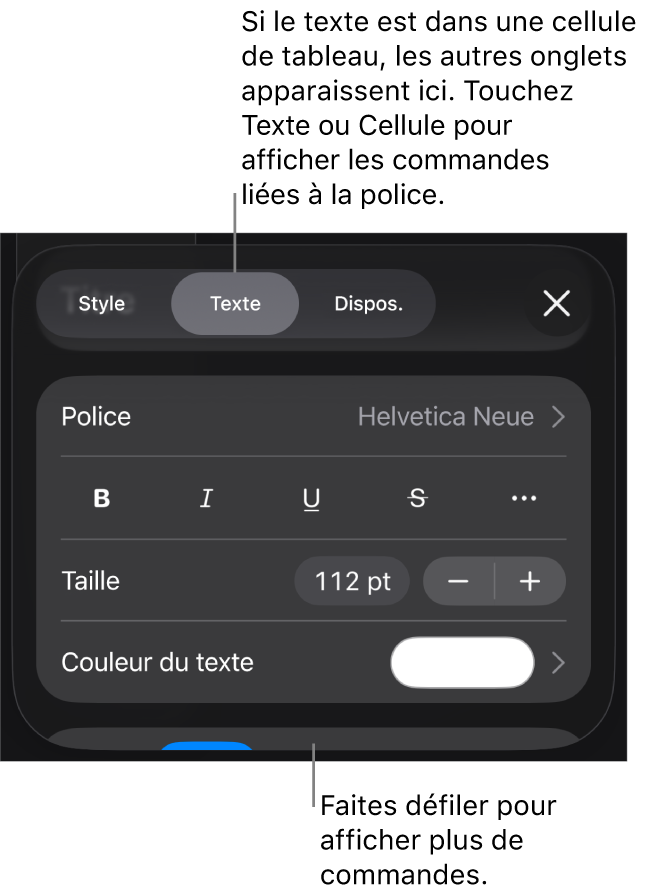Commandes de texte du menu de format permettant de définir les styles, la police, la taille et la couleur des paragraphes et des caractères.
