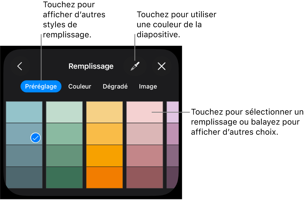 Options de remplissage dans l’onglet Style.
