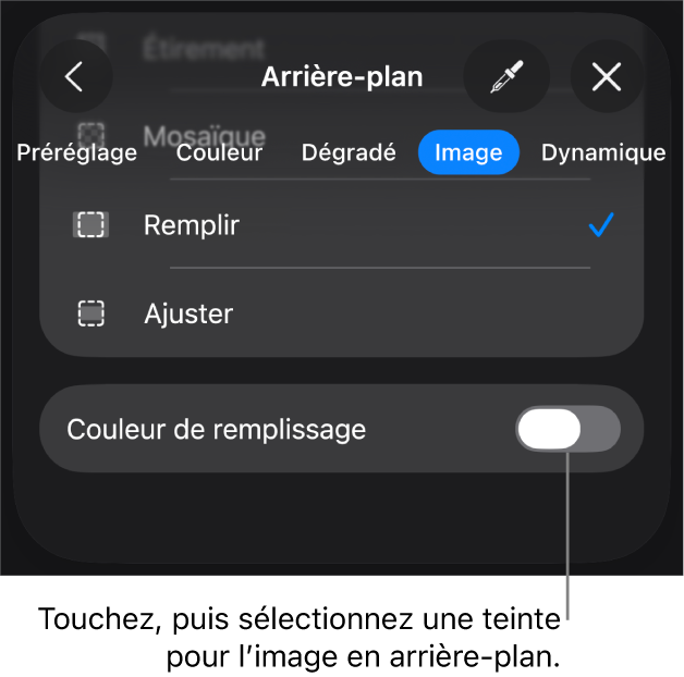 Les commandes Arrière-plan avec une image réglée comme arrière-plan des diapositives et la commande Superposition de couleurs au bas.