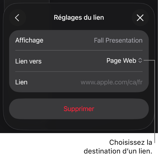 Les commandes Réglages du lien avec l’option Page Web sélectionnée au-dessus du bouton Supprimer.