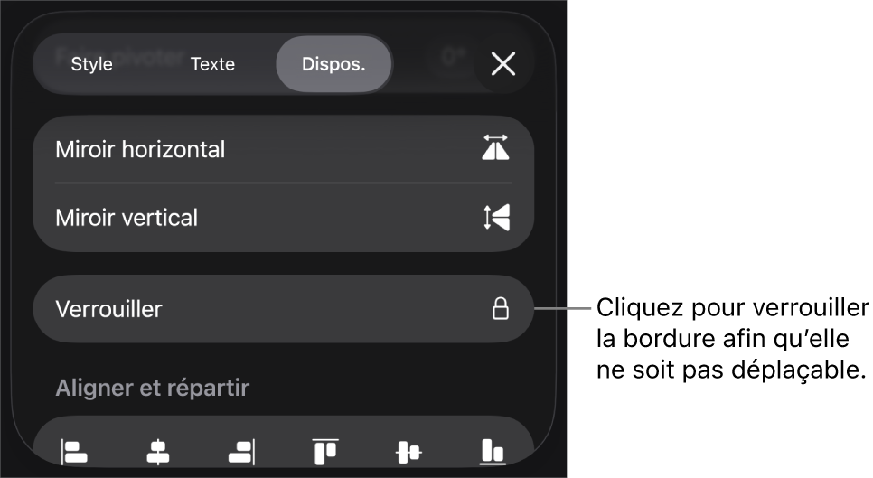 Les commandes Disposition dans le menu Format avec le bouton Verrouiller en évidence.