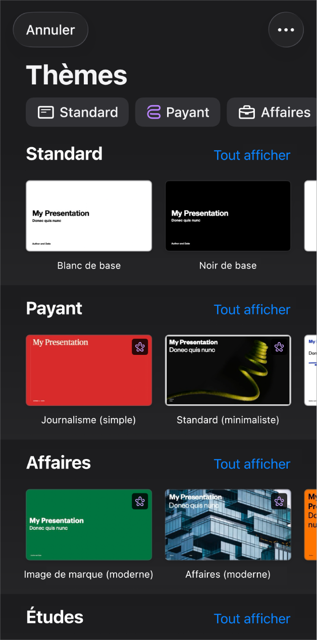 Le sélecteur de thèmes affiche en haut une rangée de catégories que vous pouvez toucher pour filtrer les options. En-dessous, des vignettes de thèmes prédéfinis sont disposées en rangées par catégorie, en commençant en haut par Standard, suivi de Minimal et Couleurs vives. Un bouton « Voir tout » apparaît au-dessus et à droite de la ligne de chacune des catégories. Le bouton Annuler se trouve dans le coin supérieur gauche.