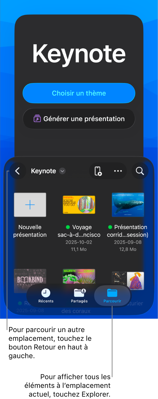 Le gestionnaire de documents avec les boutons pour sélectionner un thème ou créer une présentation à partir d’une ébauche dans la partie supérieure de l’écran et le navigateur de documents affichant une présentation partagée dans la partie inférieure.