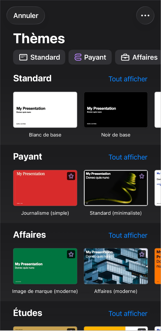 Le sélecteur de thèmes affiche en haut une rangée de catégories que vous pouvez toucher pour filtrer les options. En dessous se trouvent des vignettes de thèmes prédéfinis disposées en rangées par catégorie.