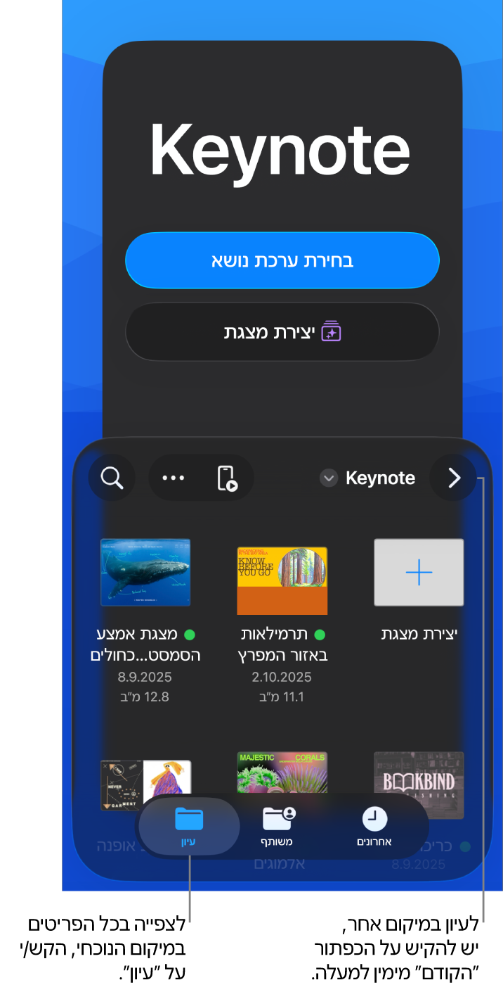 במחצית העליונה של מנהל המסמכים מופיעים כפתורים לבחירת ערכת נושא ולהתחלת מצגת מקו מתאר ובמחציתו התחתונה דפדפן המסמכים עם מצגות ששותפו.