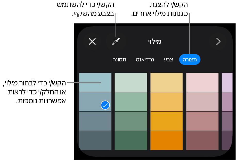 אפשרויות מילוי בכרטיסיה ״סגנון״.