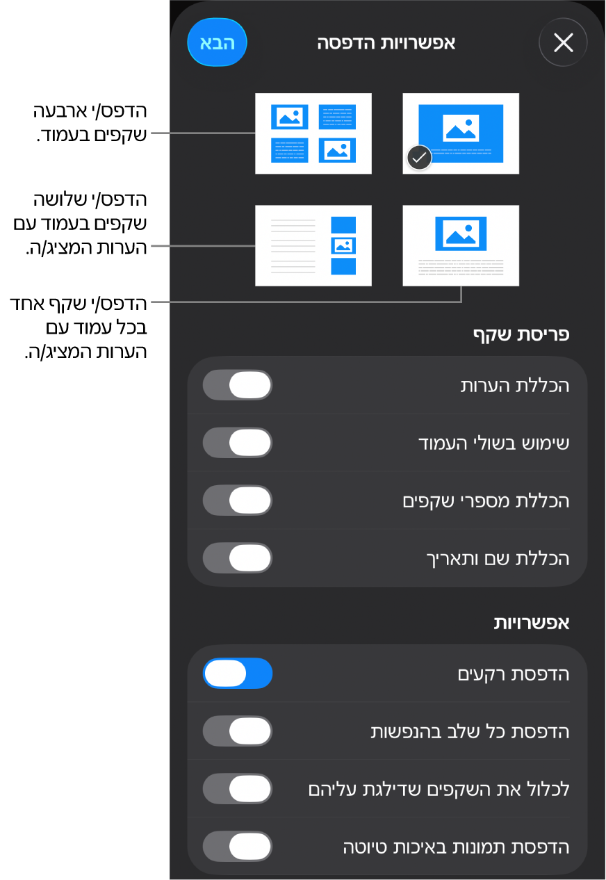 אפשרויות פריסת הדפסה.