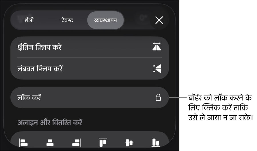 फ़ॉर्मैट मेनू में “व्यवस्थित करें” नियंत्रण, जिसका लॉक बटन कॉल आउट किया गया है।