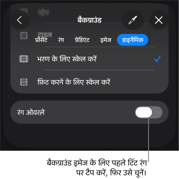 बैकग्राउंड नियंत्रण, जिनके सबसे निचले भाग में इमेज को स्लाइड बैकग्राउंड और रंग ओवरले नियंत्रण के रूप में सेट किया गया है।
