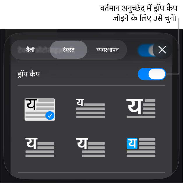 ड्रॉप कैप नियंत्रण टेक्स्ट मेनू के नीचे होते हैं।