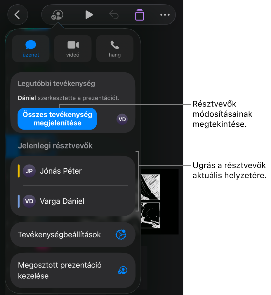 Az együttműködési menü a jelenlegi résztvevőkkel.