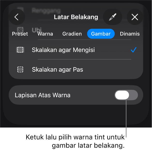 Kontrol Latar Belakang dengan gambar diatur sebagai latar belakang slide dan kontrol Lapisan Atas Warna di bagian bawah.