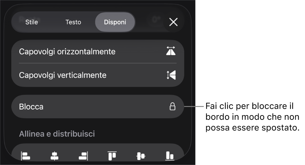 I controlli Disposizione nel menu Formato con il pulsante Blocca visibile.