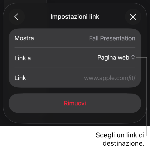 I controlli delle impostazioni dei link con la pagina web selezionata e con il pulsante per rimuovere il link mostrato in basso.