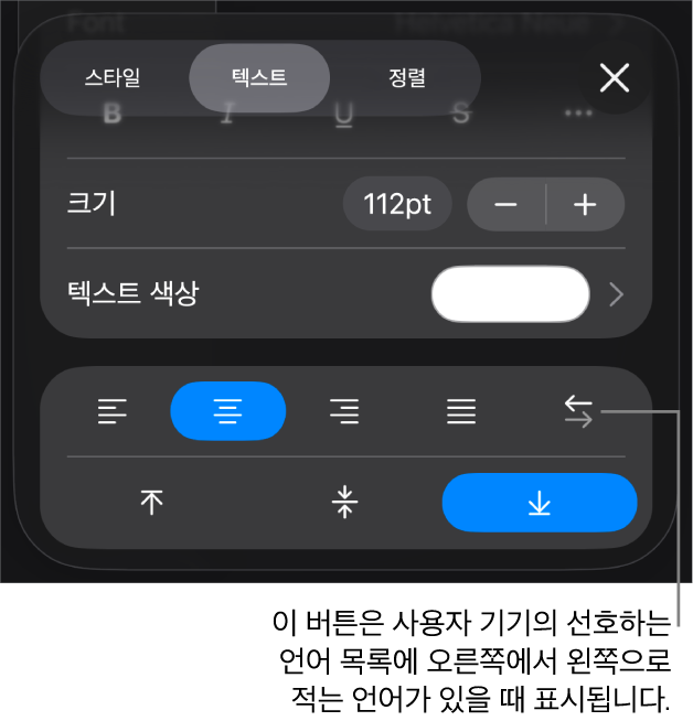 오른쪽에서 왼쪽으로 버튼에 대한 설명이 있는 포맷 메뉴의 텍스트 제어기.