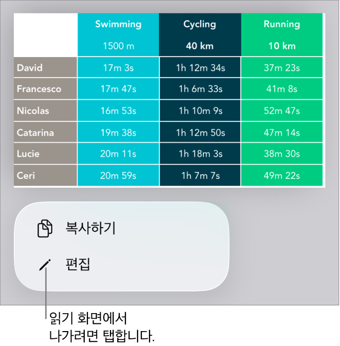 표가 선택되어 있고 그 아래에 복사하기 및 편집 버튼이 있는 메뉴가 있음.