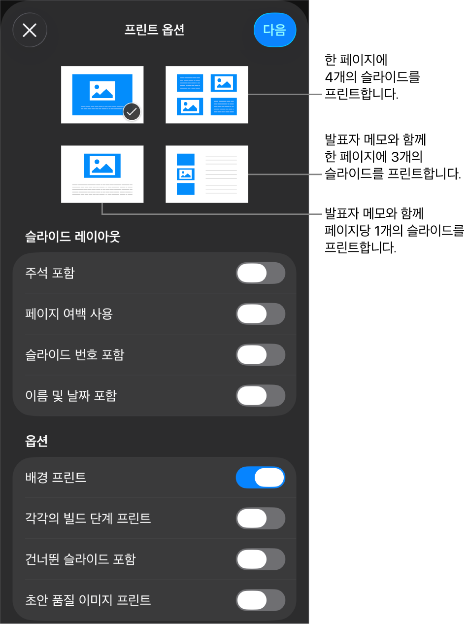 프린트 레이아웃 옵션.