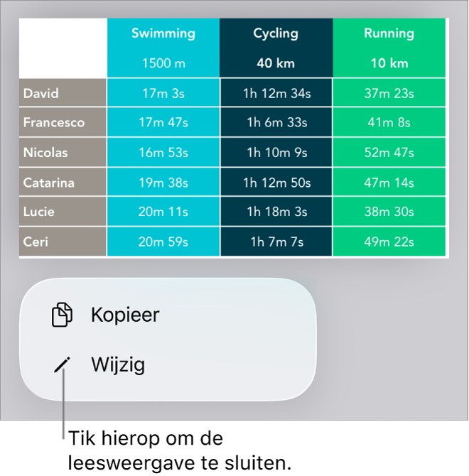 Er is een tabel geselecteerd en eronder staat een menu met de knoppen 'Kopieer' en 'Wijzig'.