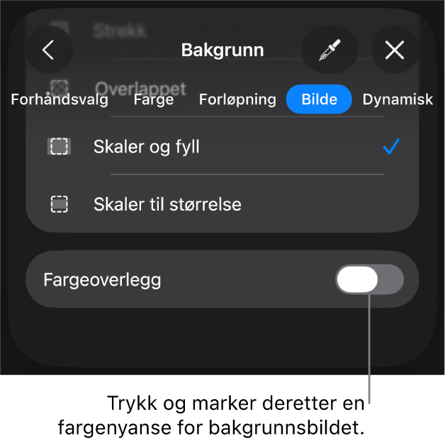 Bakgrunn-kontroller med et bilde angitt som lysbildebakgrunn og Fargeoverlegg-kontrollen nederst.