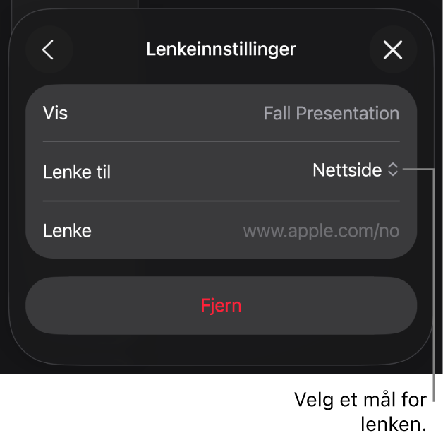 Lenkeinnstillinger-kontrollene med Nettside markert og Fjern-knappen nederst.