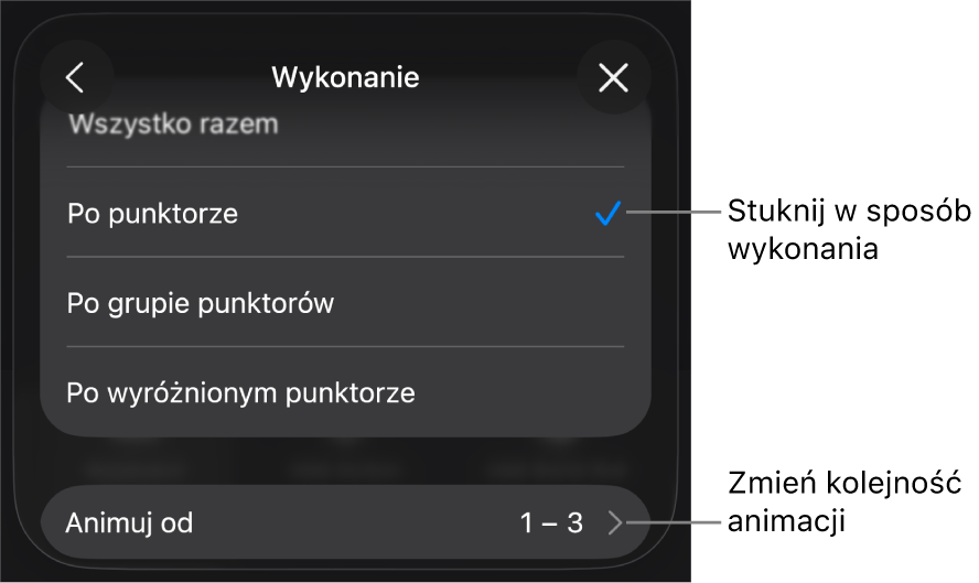 Opcje wykonania w panelu Wejście.