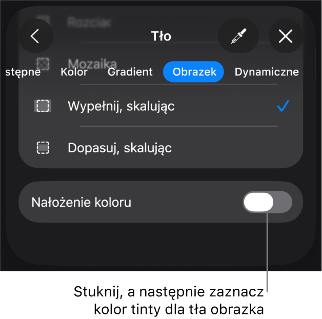 Narzędzia tła z obrazkiem ustawionym jako tło slajdu oraz na dole narzędzie Nałożenie koloru.