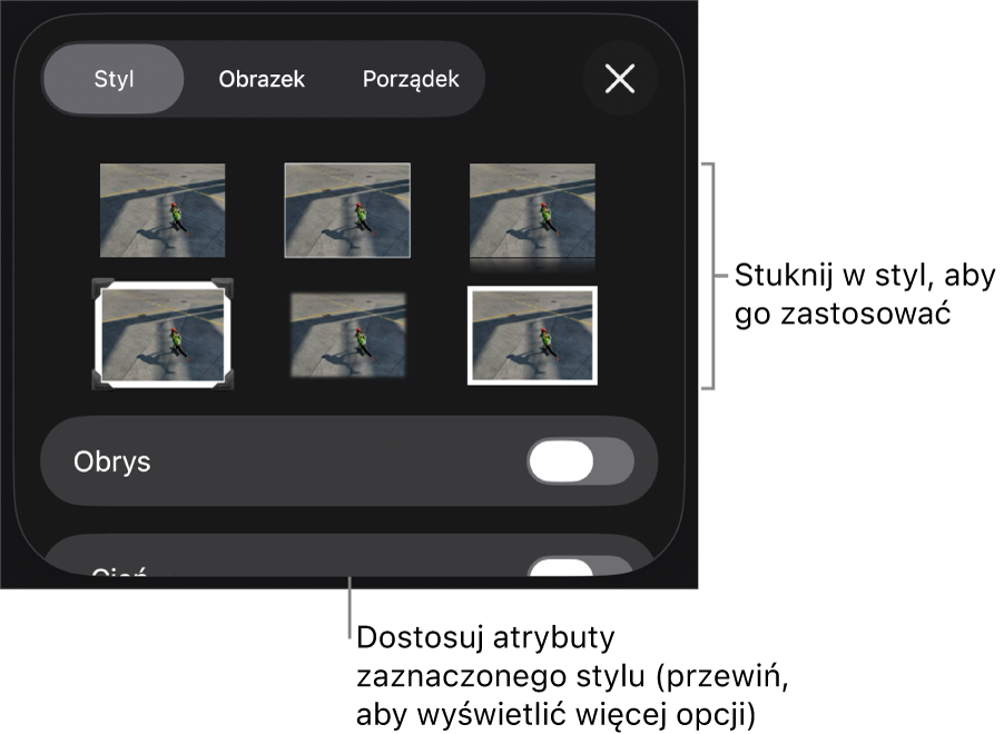 Karta Styl w menu Format, zawierająca na górze style obiektu, a poniżej narzędzie do zmiany obrysu.
