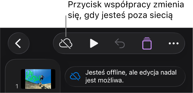 Przyciski znajdują się u góry ekranu; przycisk współpracy wyświetlany jest jako chmura przekreślona ukośną linią. Alert zawierający następującą informację: Brak połączenia z siecią, ale edycja nadal jest możliwa.
