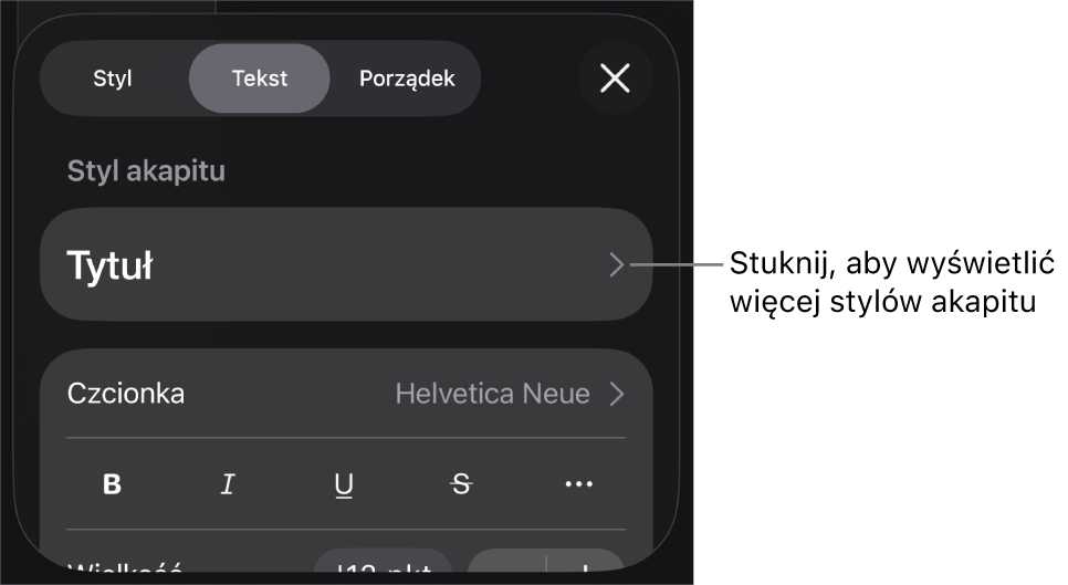 Menu Format z narzędziami tekstu pozwalającymi na ustawianie stylów akapitu, stylów znaków, czcionki, wielkości oraz koloru.