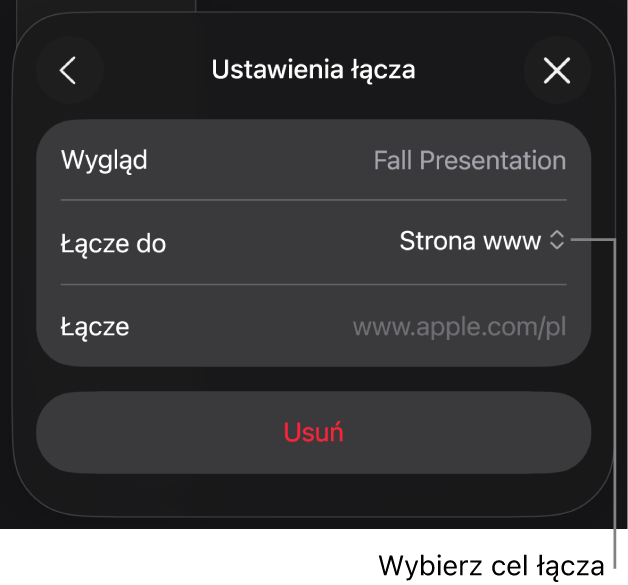 Narzędzia Ustawienia łącza; wybrane jest narzędzie Strona www; na dole znajduje się przycisk Usuń.