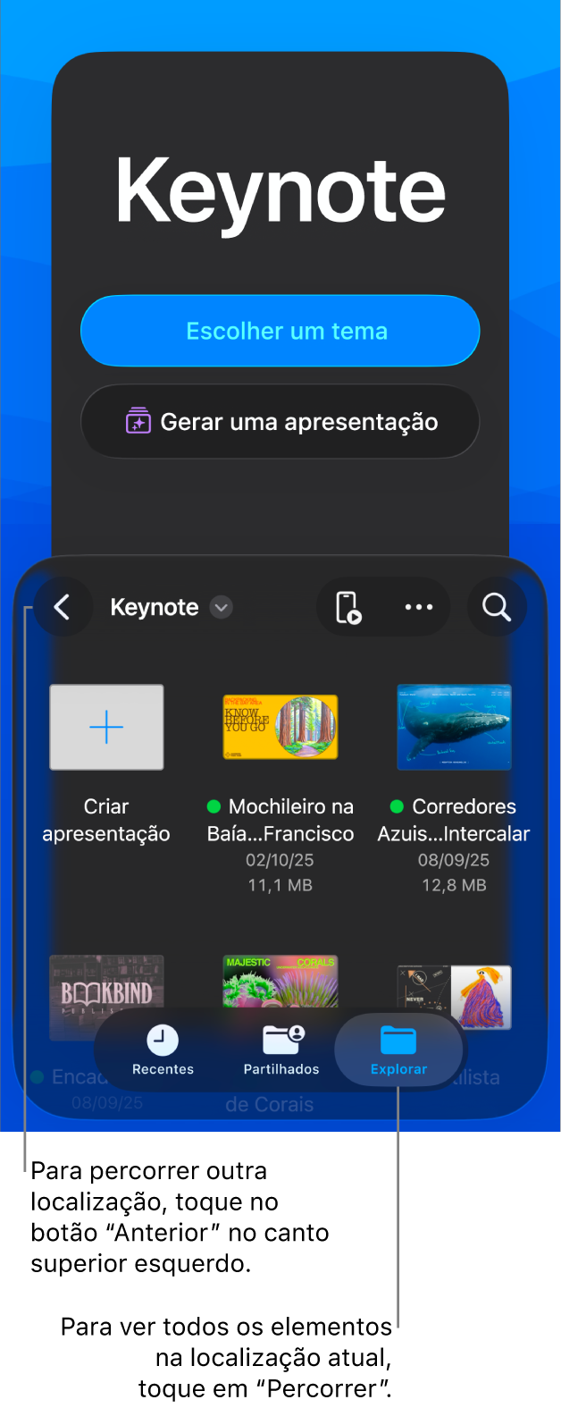 O gestor de documentos com botões para escolher um tema e iniciar uma apresentação de um esboço na metade superior do ecrã e o navegador de documentos com uma apresentação partilhada na parte inferior.