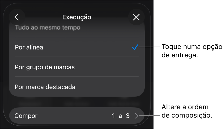 Opções de execução no painel “Entrada”.