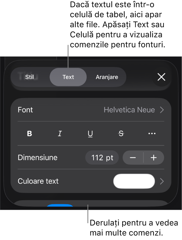 Comenzi text din meniul Format pentru configurarea paragrafelor și a stilurilor, fonturilor, dimensiunii și culorii caracterelor.